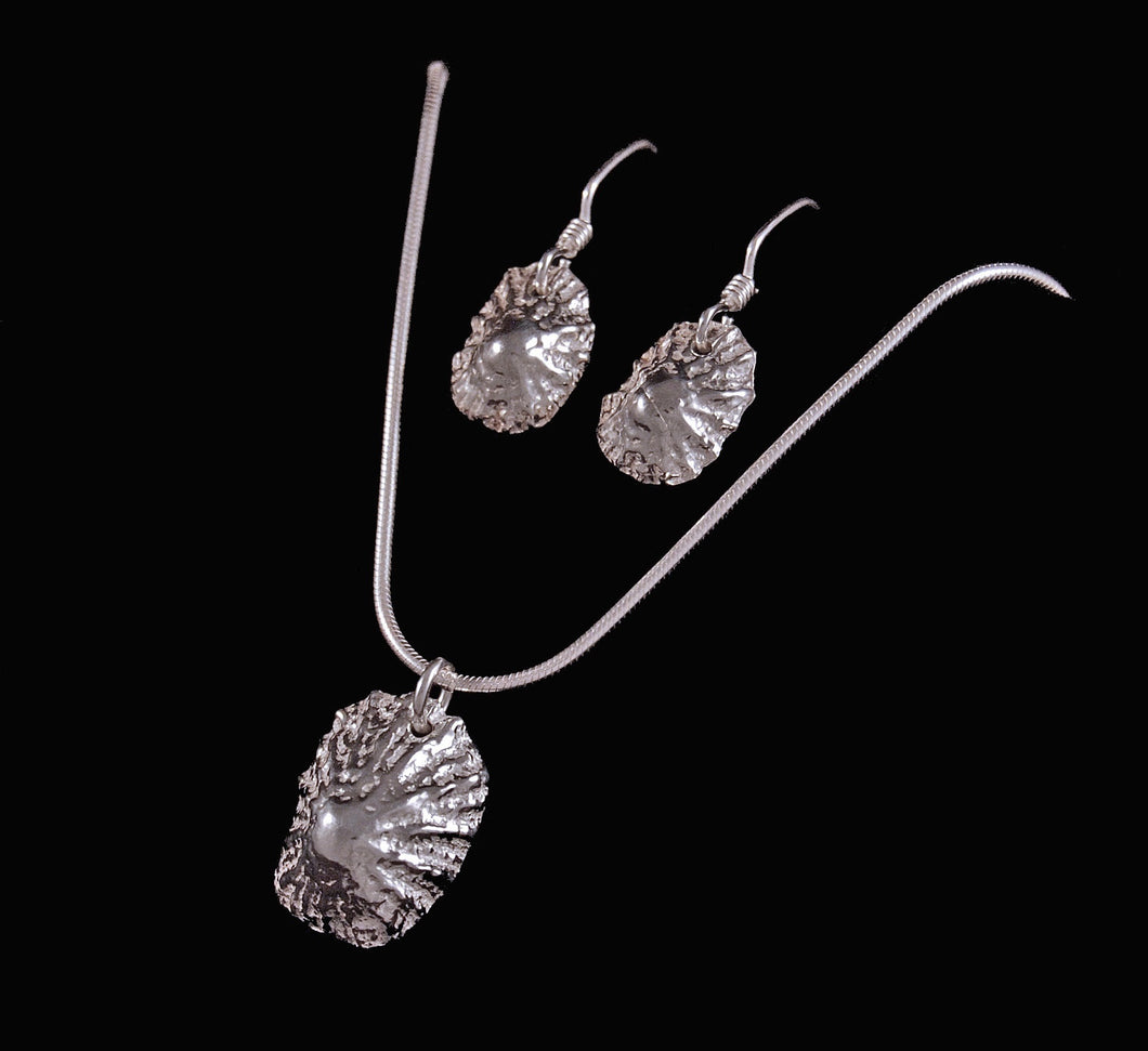 Solid Silver Tiree Limpet Shell Earrings