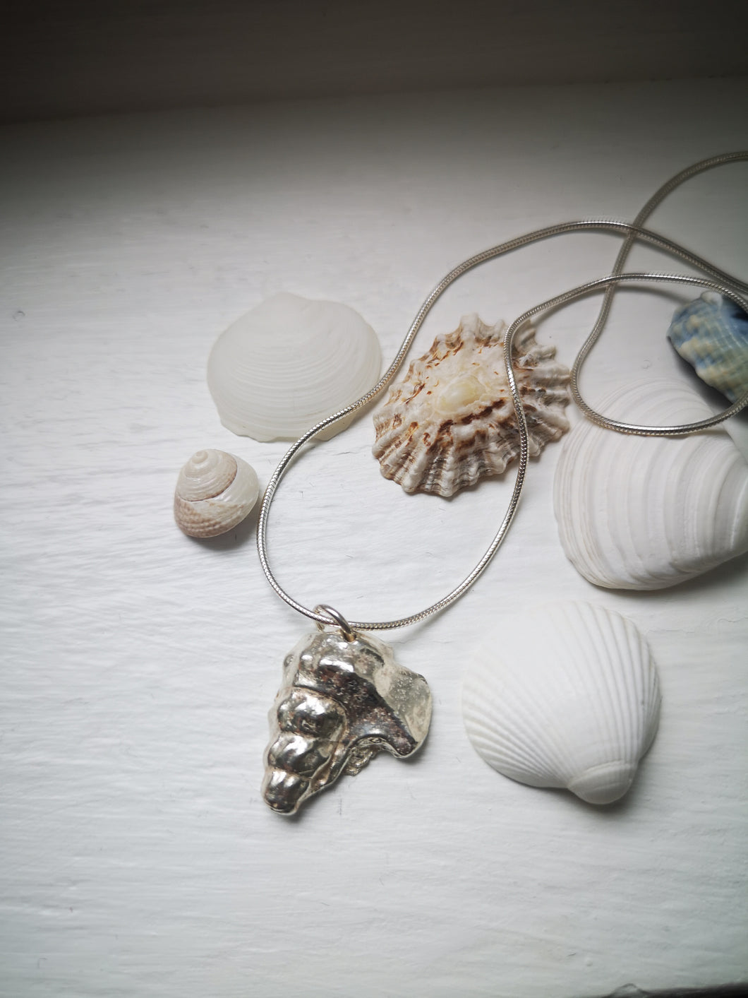 Tiree Silver Shell Pendant. (Pelican Foot)