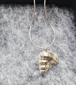Tiree Silver Shell Pendant. (Pelican Foot)
