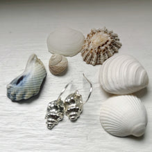 Load image into Gallery viewer, Solid Silver Tiree Conch Shell Earrings
