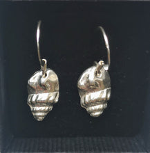 Load image into Gallery viewer, Solid Silver Tiree Conch Shell Earrings
