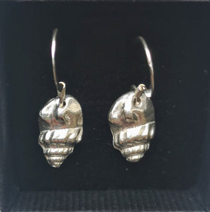 Solid Silver Tiree Conch Shell Earrings