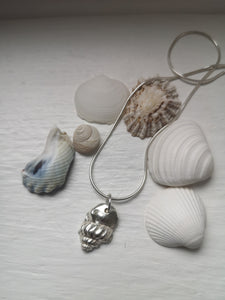Solid Silver Tiree Conch Shell Pendant