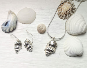Solid Silver Tiree Conch Shell Earrings