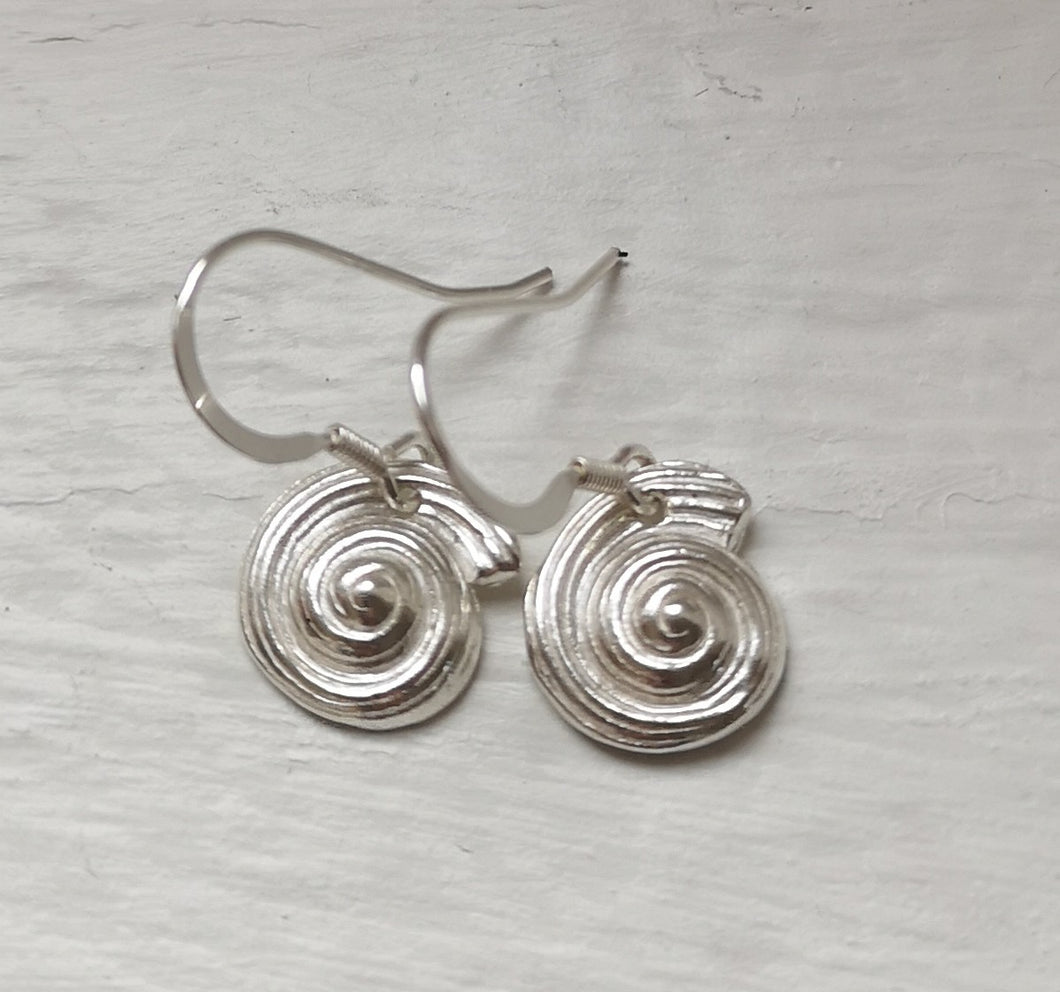 Sea snail shell silver earrings