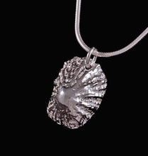 Load image into Gallery viewer, Solid Silver Tiree Limpet Shell Pendant
