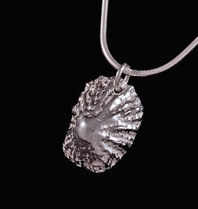 Solid Silver Tiree Limpet Shell Pendant